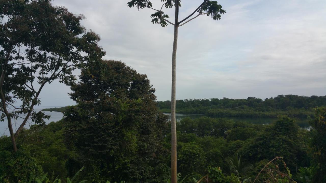 Tierra Oscura Panama Eco Resort מראה חיצוני תמונה