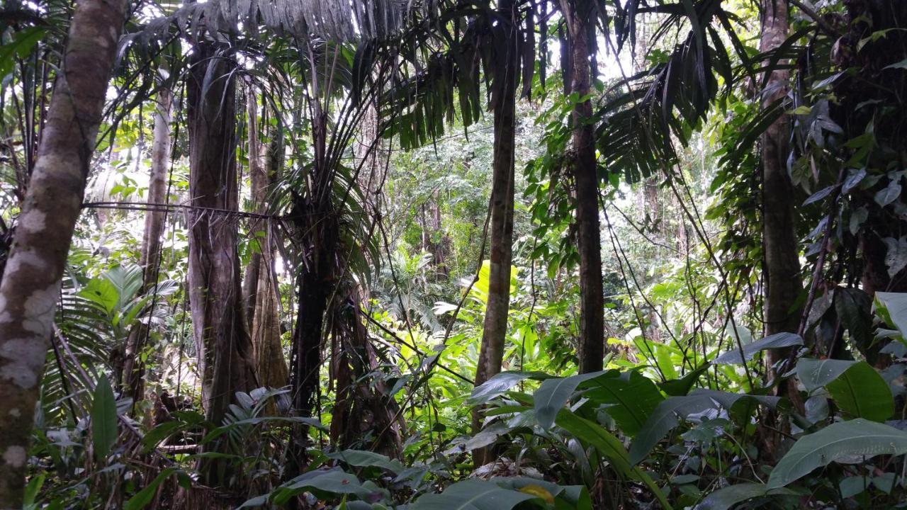 Tierra Oscura Panama Eco Resort מראה חיצוני תמונה