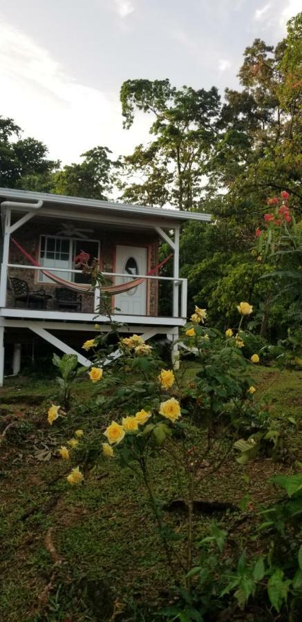 Tierra Oscura Panama Eco Resort מראה חיצוני תמונה